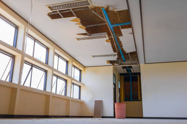 Best Professional water damage repair  in Lawton, OK