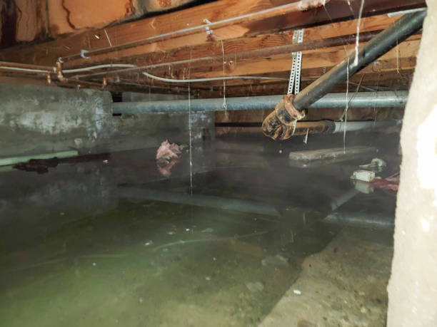 Sewage cleanup and water damage restoration in Lawton, OK