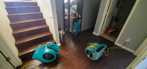 Best Sewage cleanup and water damage restoration  in Lawton, OK
