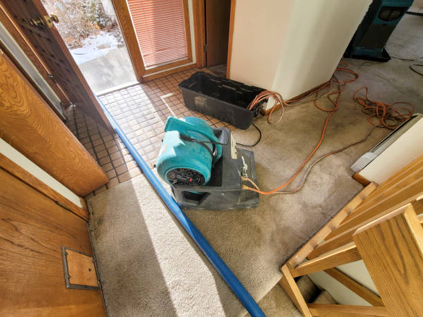 Best Residential water damage restoration  in Lawton, OK