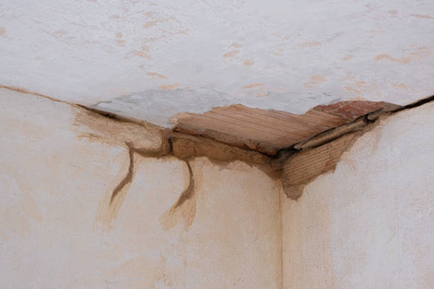 Best Water damage contractors near me  in Lawton, OK