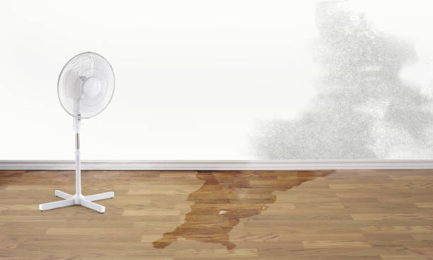 Best Fire Damage Restoration  in Lawton, OK