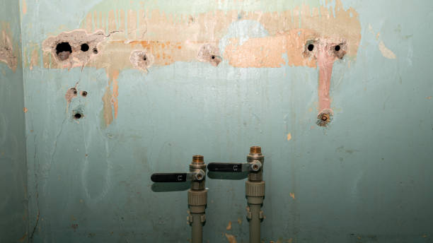 Best Commercial water damage restoration  in Lawton, OK