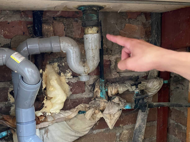 Best Flooded house restoration  in Lawton, OK