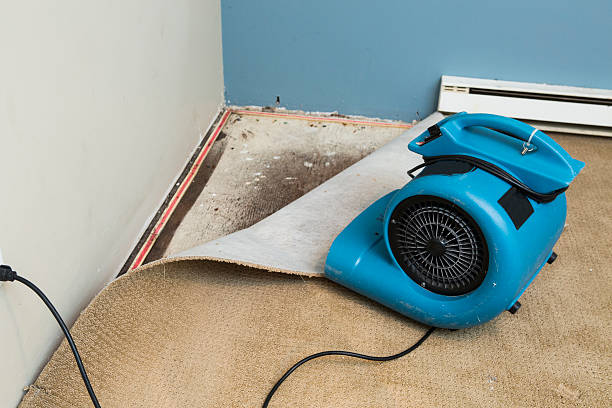 Best Basement water damage restoration  in Lawton, OK